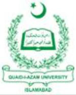 Qaid-e-Azam University